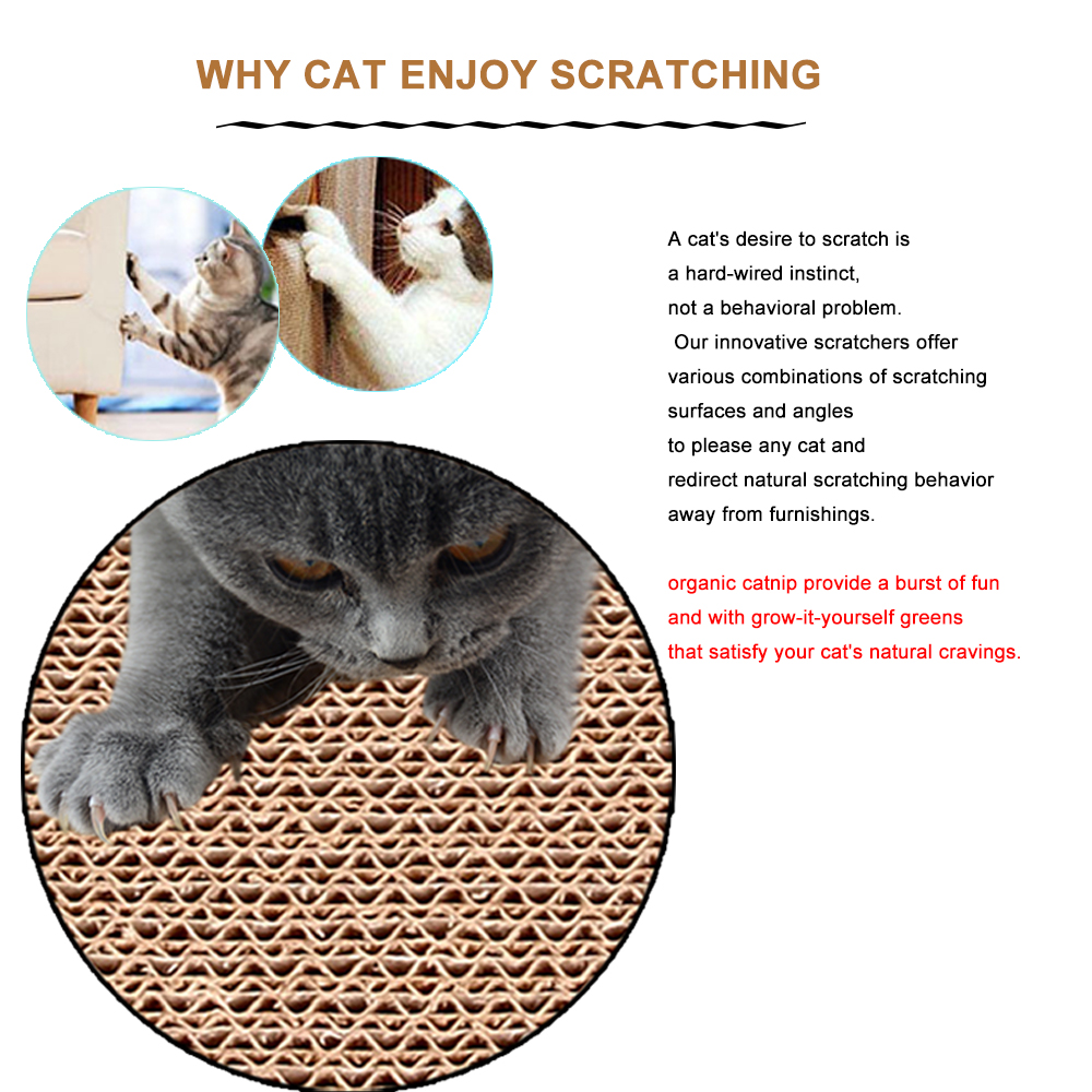 Cat Scratching Quilt: The Impact on Down Comforters