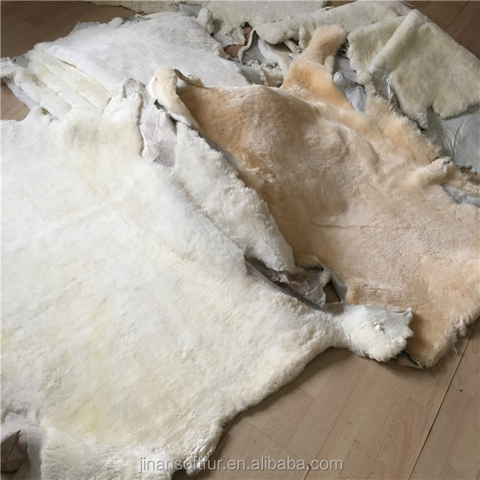 How Long to Sun a Feather Duvet and Sheepskin Blanket?