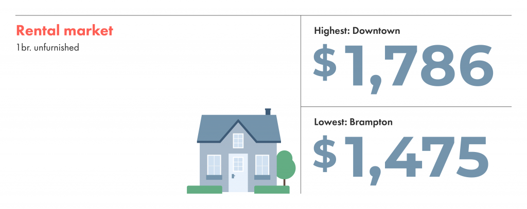 Title: The Latest Trends and Market Performance of Down Comforters