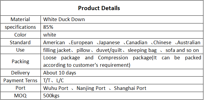 Feather Duvet Packing and Distribution