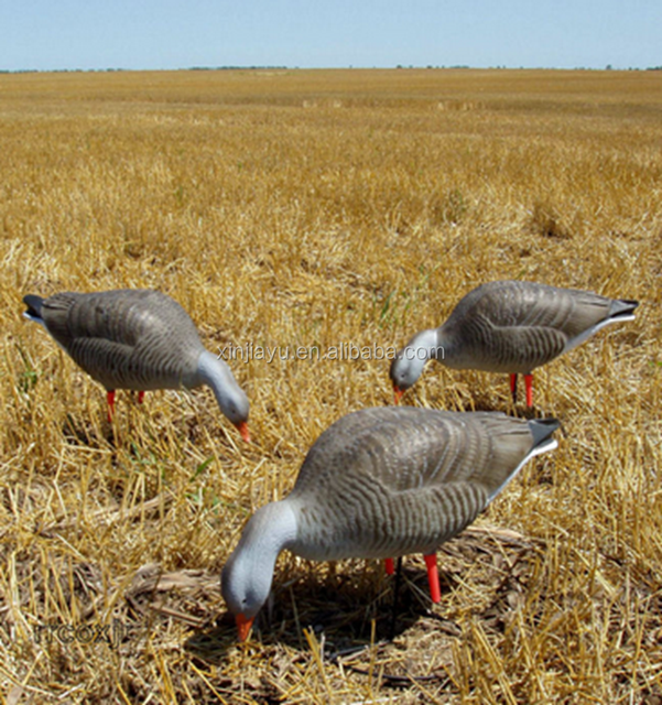 Title: The Goose-down Duvet and the Camper