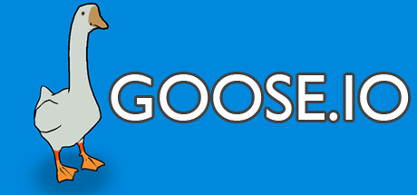 Title: Is the Go Goose Brand Down Comforter Worth the Investment?