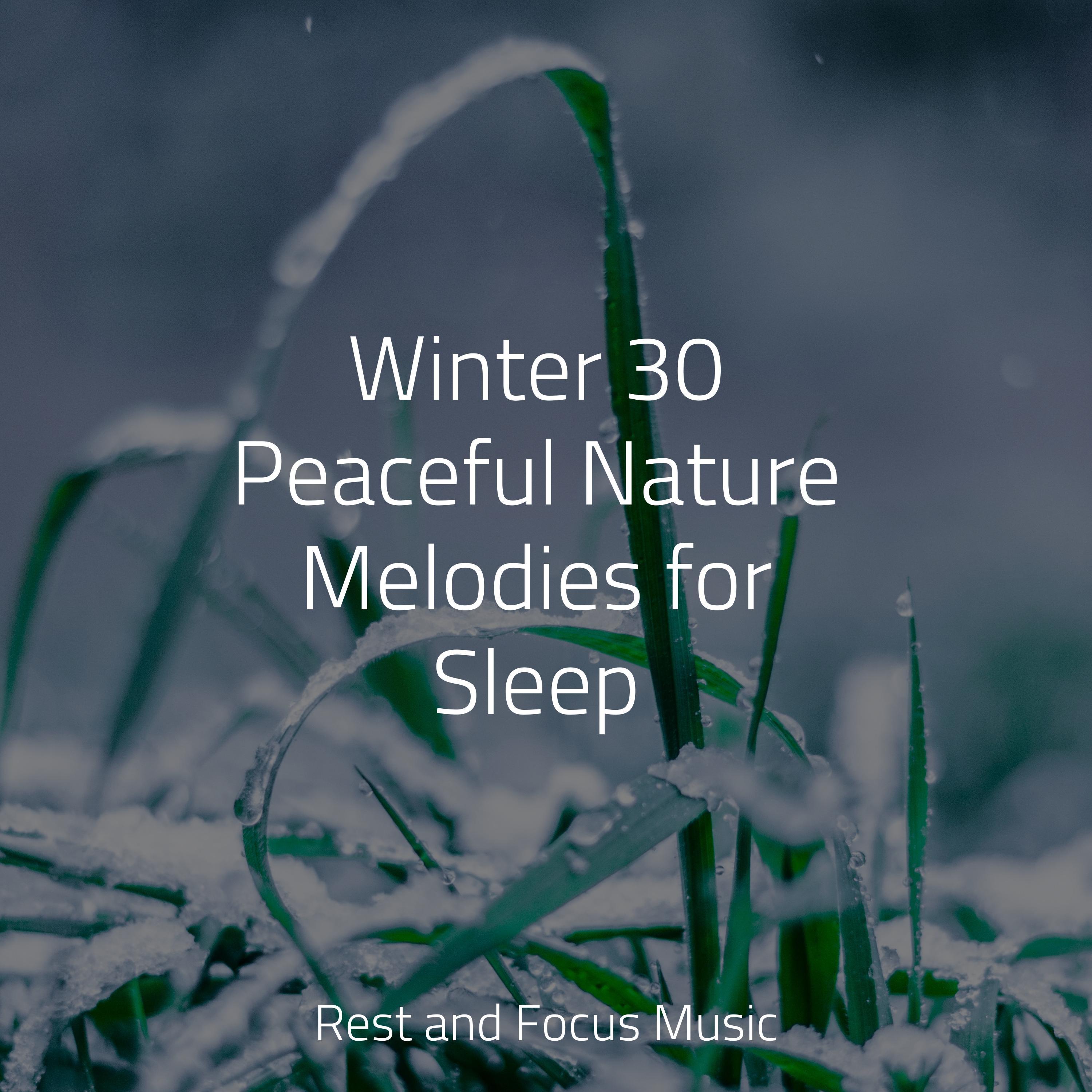 Middle-split down quilt: a guide to the best winter sleep