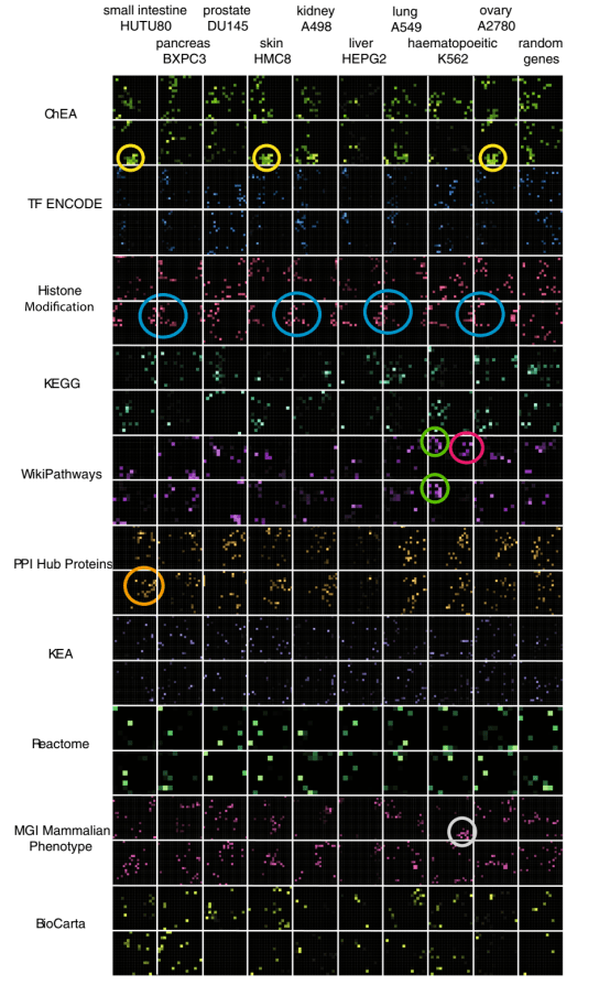 Title: A Comprehensive Comparison of Duck Down and Fiber Quilts