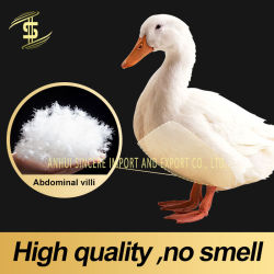 Title: The Nyhu Duck Feather Comforter: A Quality of Its Own