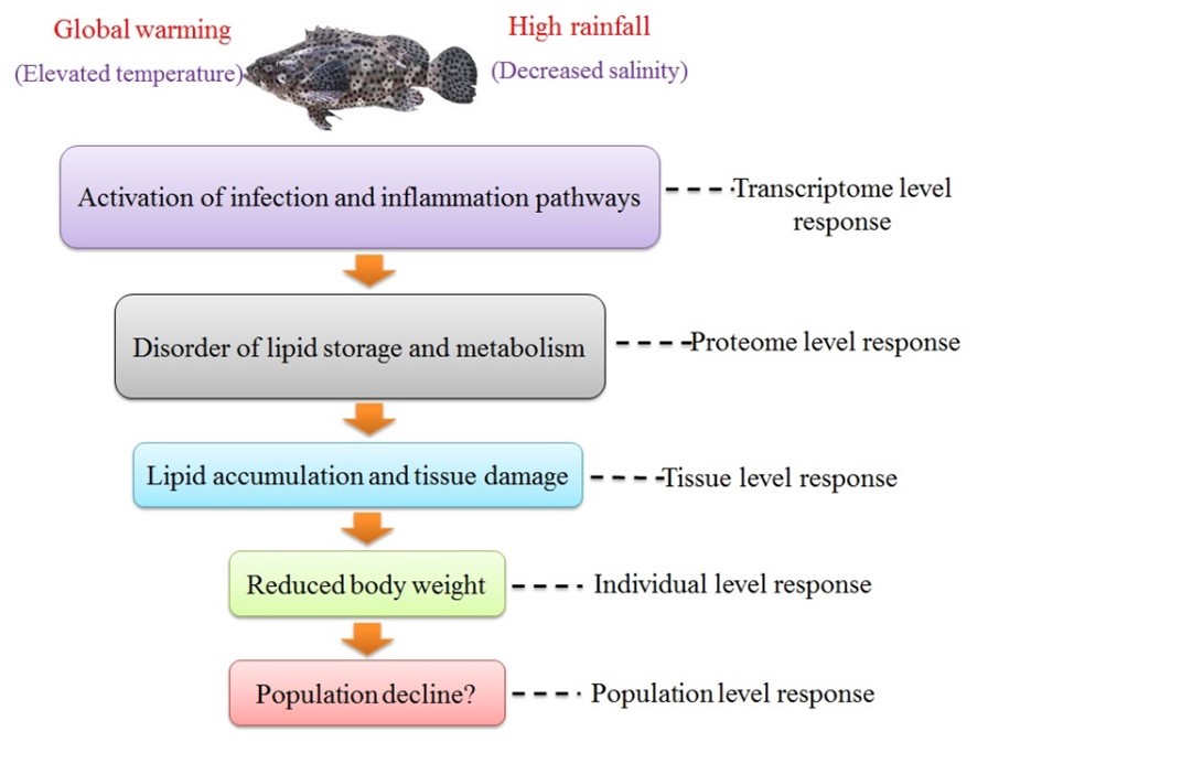 Title: The Insulating Power of a Layer of Duck Down: A Comprehensive Study