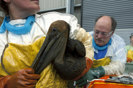 Title: Cleaning a Duck Feather Comforter