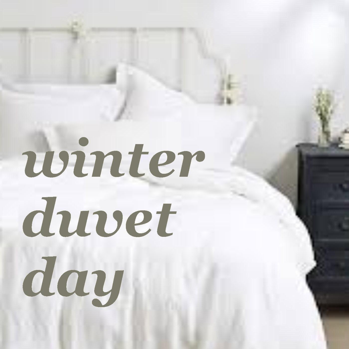 Title: The Best Down Duvet to Keep You Warm This Winter