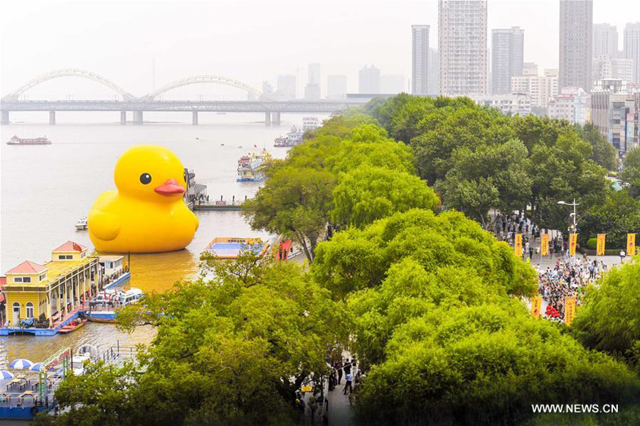 Title: Where to Buy the Best Duck Down Comforters in Changsha?