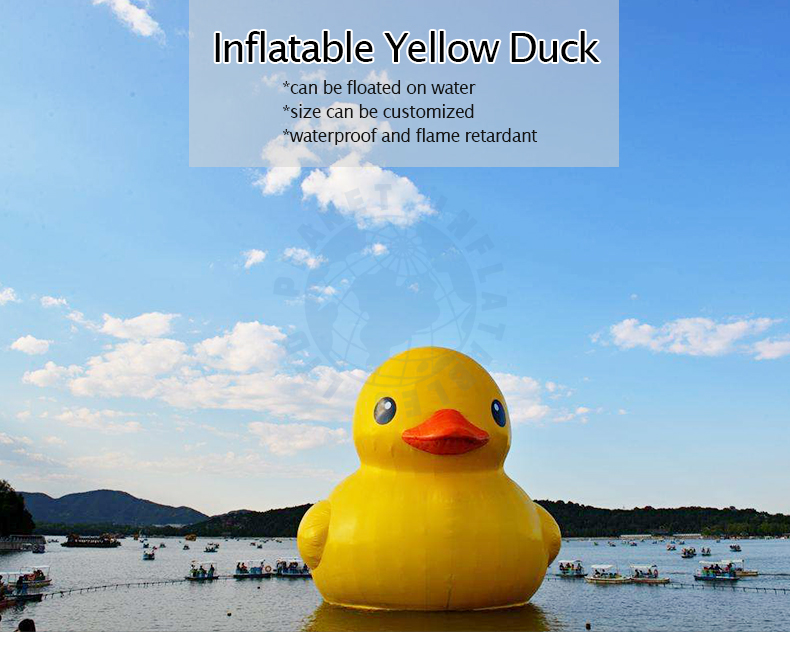 Title: Ducks Down Comforter with Yellow Spots