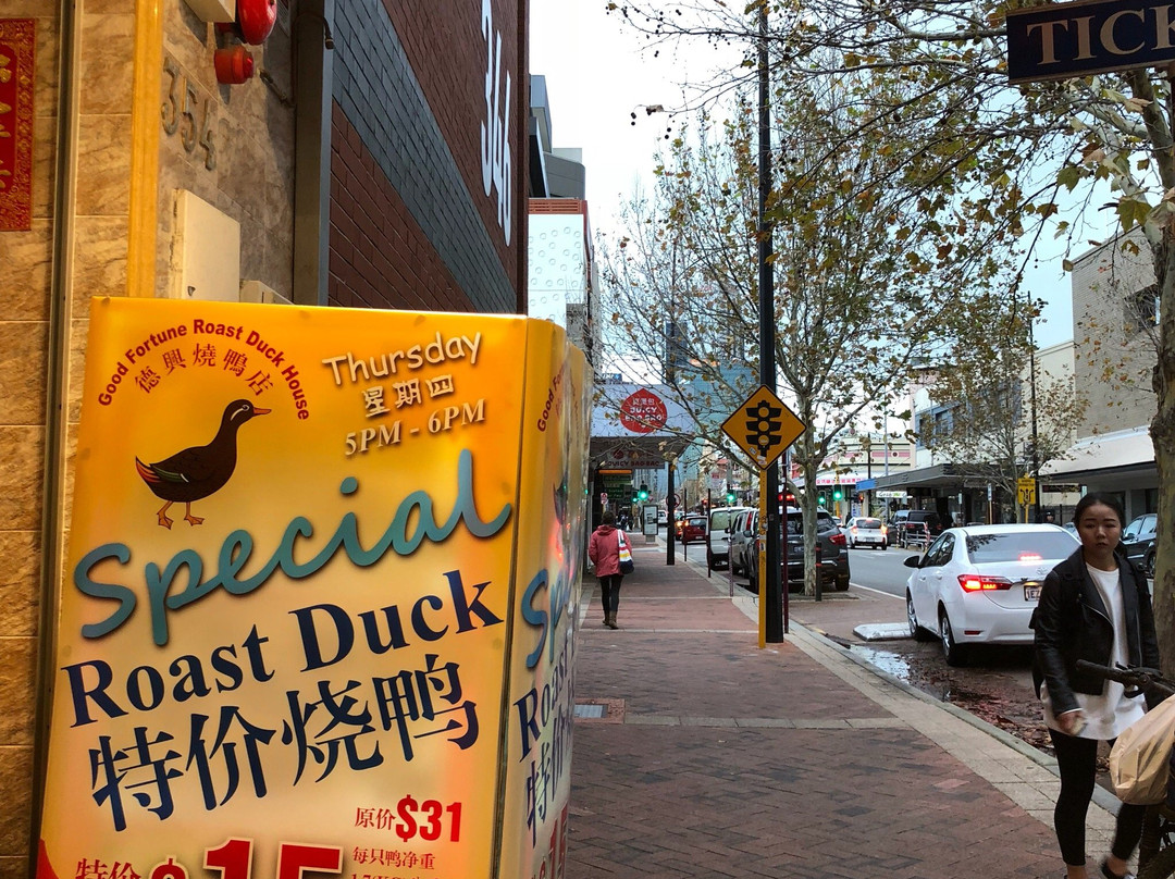 Title: Exploring DeLong Streets Duck Down Quilt Store: A Journey Through Time and Tradition