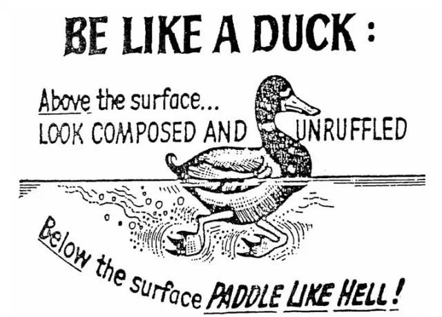 Title: The Longevity of a Down Comforter: How Many Years Can You Expect from a Single Duck Down Duvet?