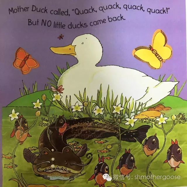 Title: Can White Duck Down Quilts Be Sunned? Are They Toxic?