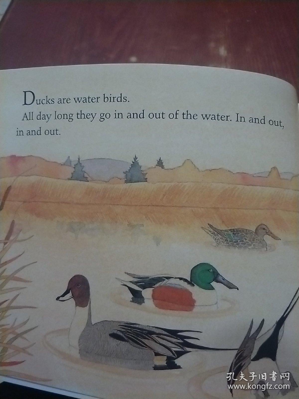 Title: What to Do if the Feathers of a Duck Down Comforter Get Stuck in Your Nose?