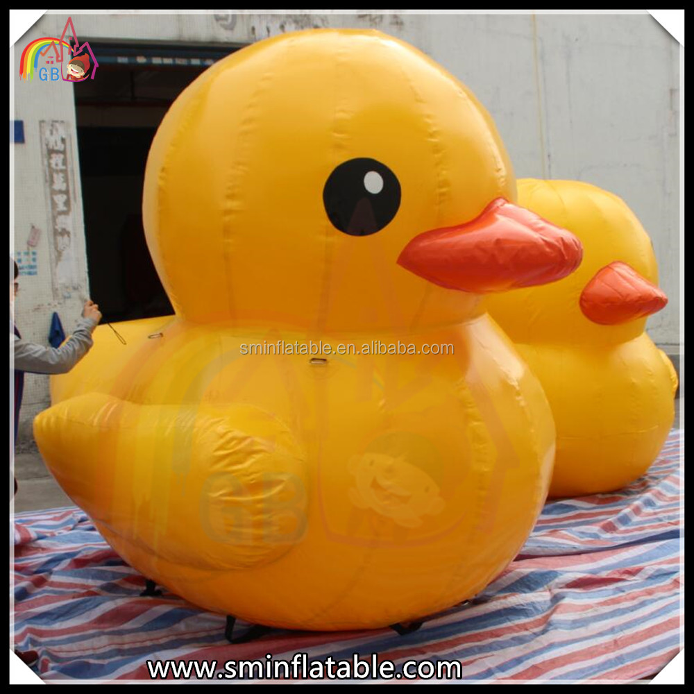 Title: Is Duck Down Vacuum Sealed Storage Efficient?