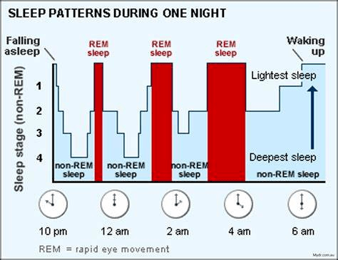 Title: Exploring the Performance and Convenience of Dayunpao Down Sleeping Pad: An In-Depth Review