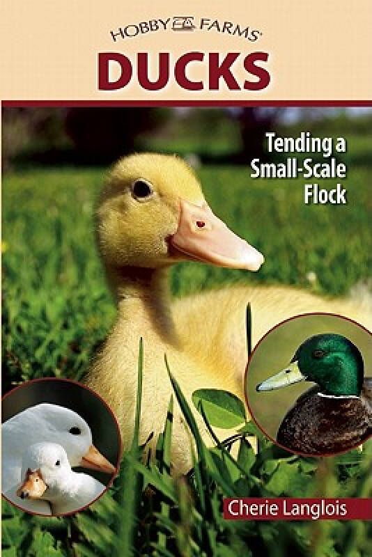 Title: The Ultimate Guide to Buying High-Quality Duck Down Quilts for Your Little Ones