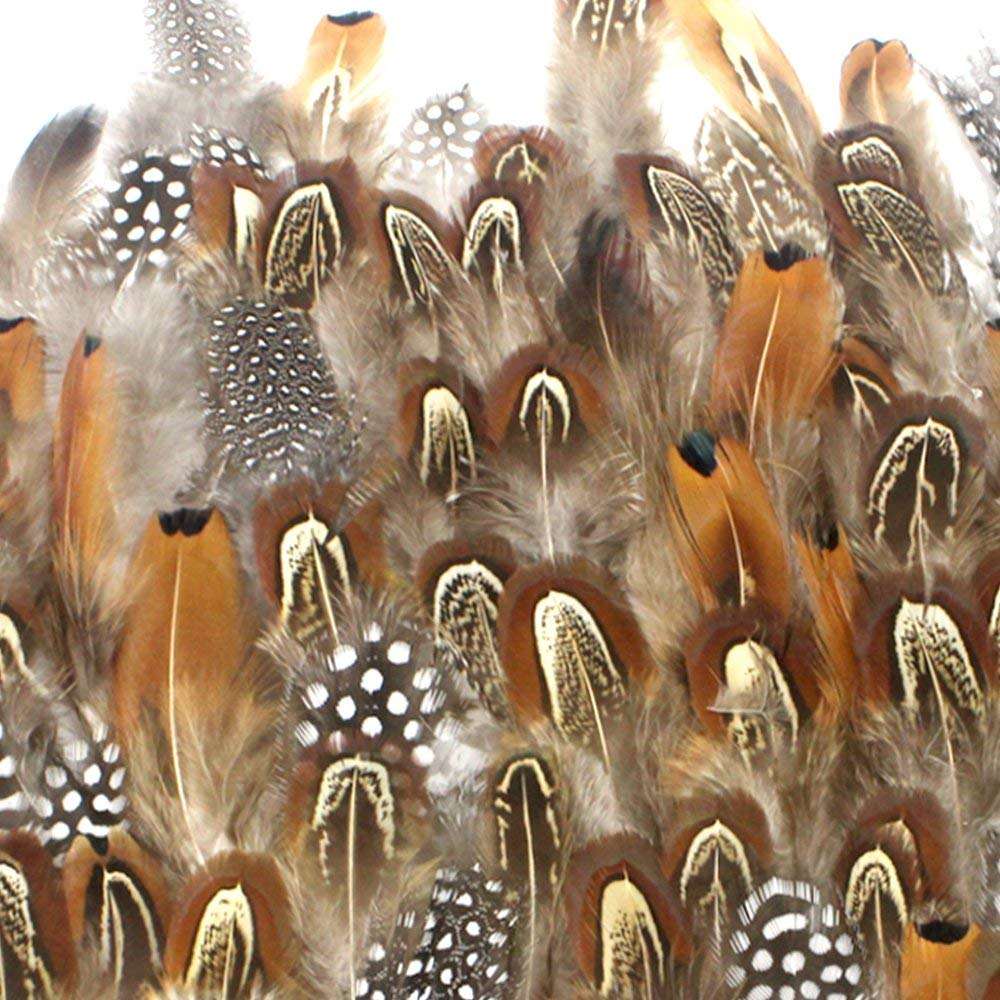 Title: The Processing of Duck Feathers for Duck Feather Comforters