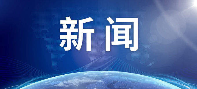 Title: The广西鸭绒被厂: A Global Leader in Quality and Innovation