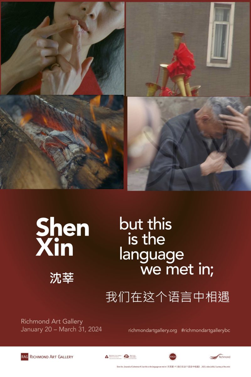 Title: The Story of Beijing Shunyi Down Blanket