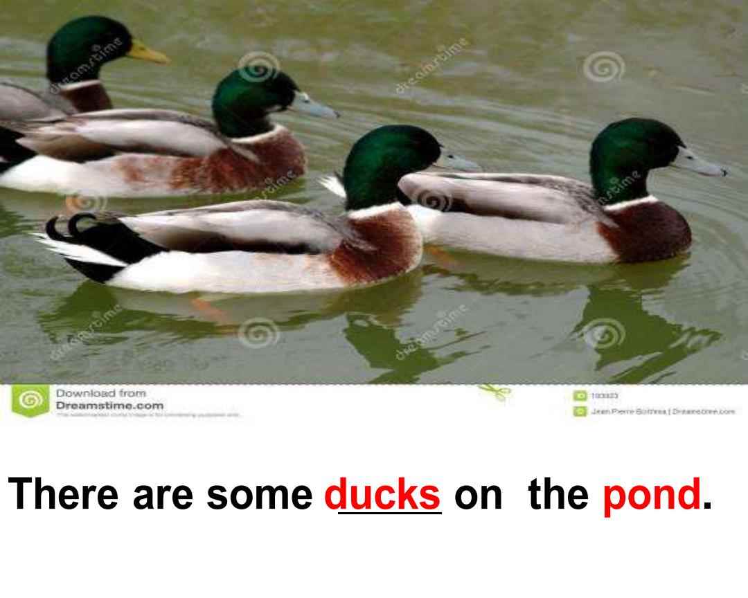 Title: Is Duck Down and Goose Down the Same as Each Other in Quality Assessment?