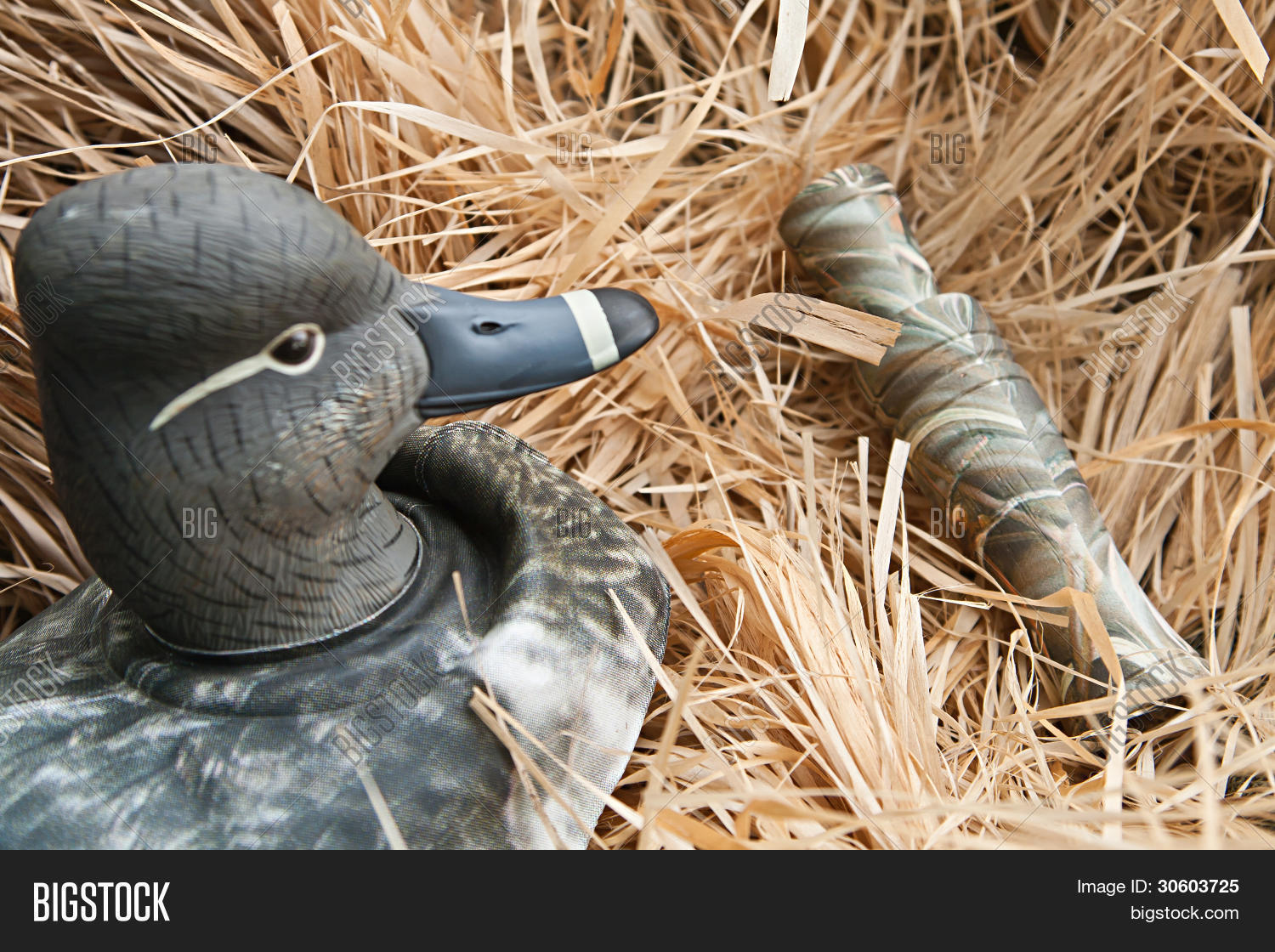 Title: The Video of Filling Duck Feather into a Duvet