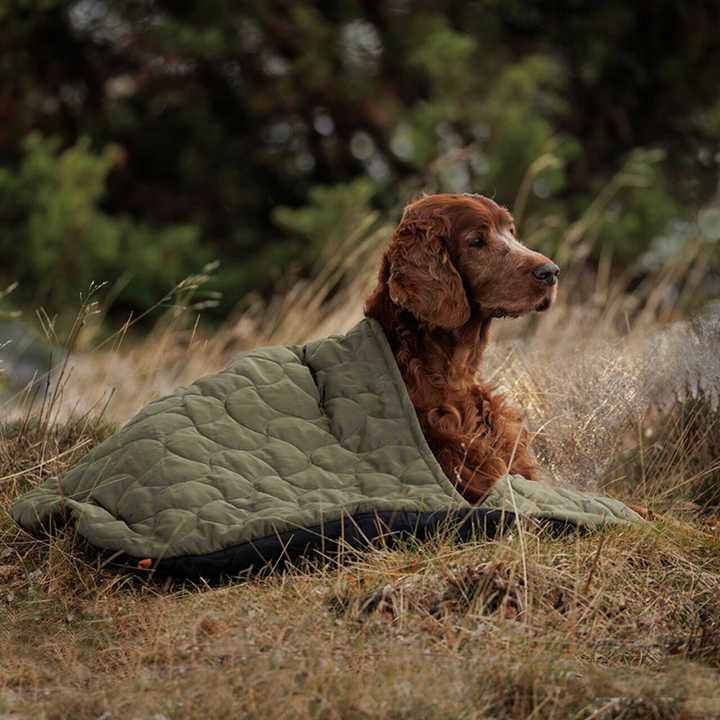 Title: Is the Dog Sleeping Pad with Duck Down Comfortable?