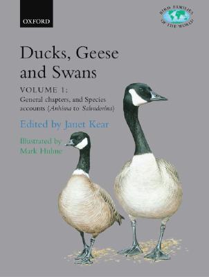 Title: The Difference Between Goose Feather duvets and Duck Down Duvets