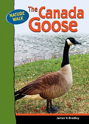 Title: Comparing Canada Goose down and Duck down: Which One is Better?