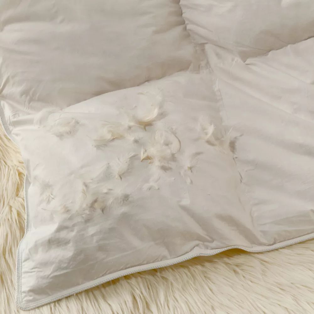 Title: Costco Duck Feather Comforter Cover: A Review