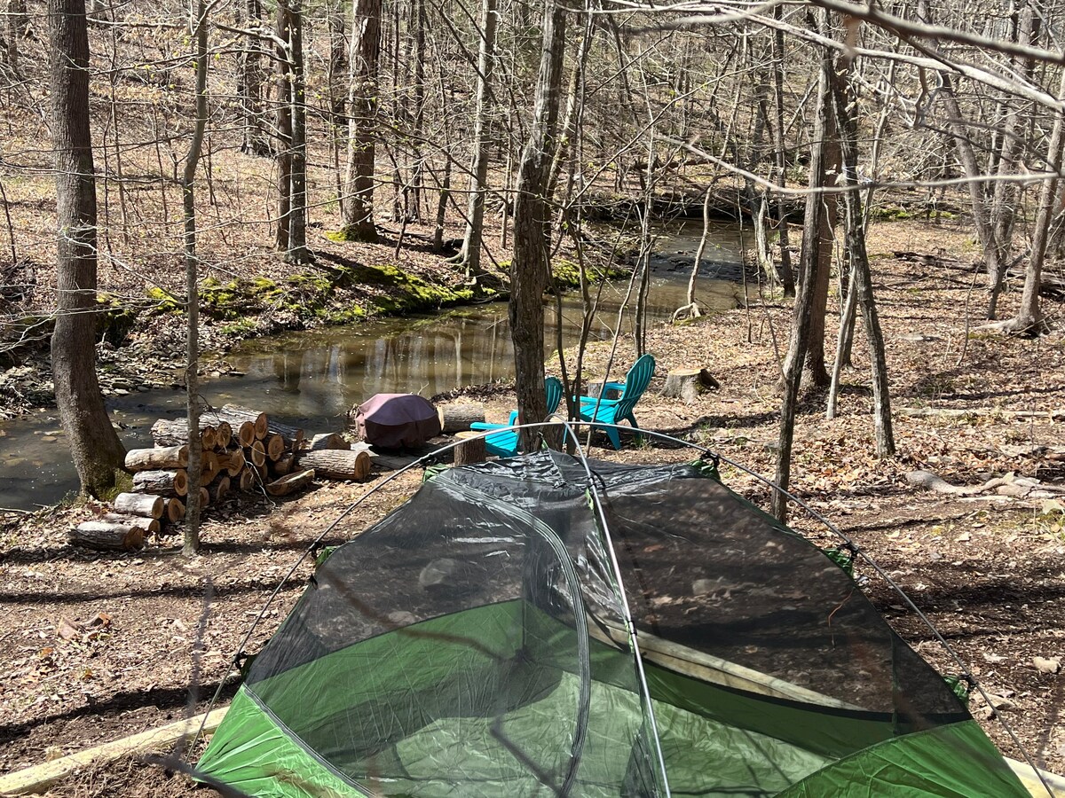 Title: Winter Camping with a Duck Feather Quilt