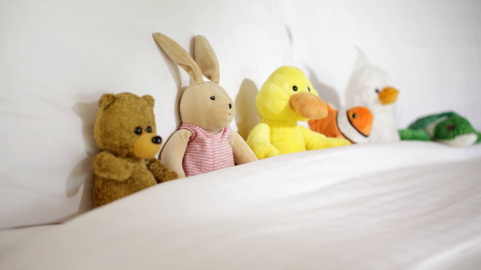 Title: The rise of duck feather bedding in hotels