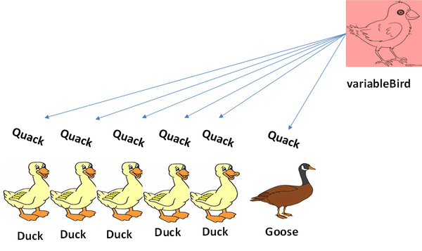 Title: Where to Find a nearby Duck Down Blanket Processing Factory?