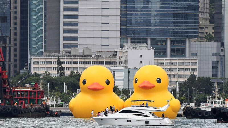 Title: Understanding the Price List for Duck Down Quilts in Hongkou District