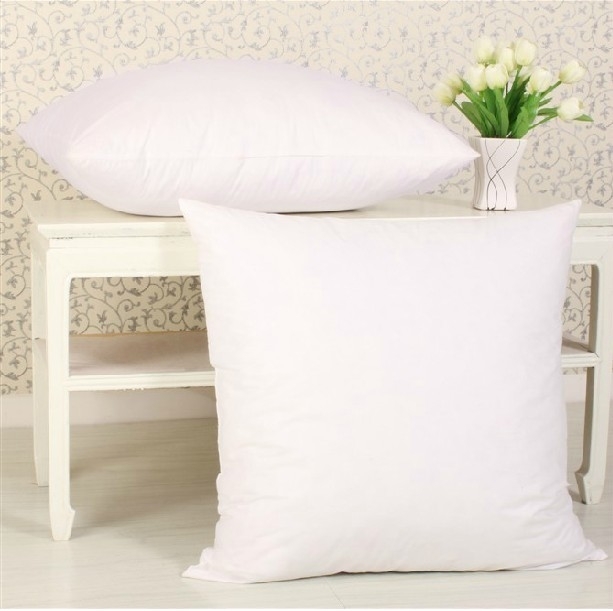 Title: Duck Feather Pillow Quality Report