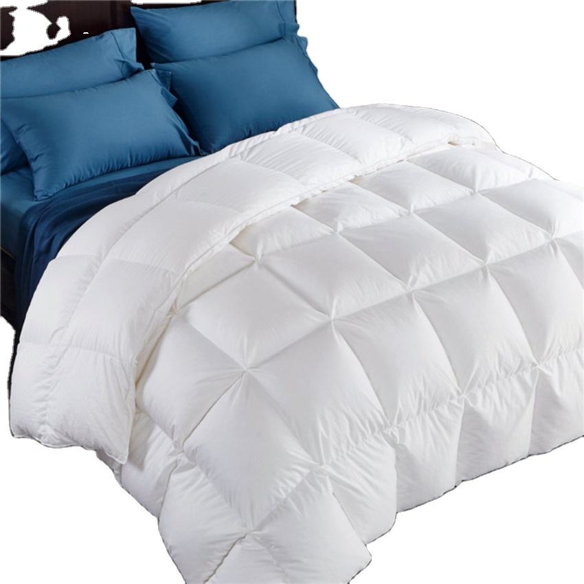 Title: Shanghai Goose Down Blankets: A Comprehensive Price List with Visuals