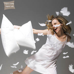 Title: Best-selling womens wear brands with duck feather pillows