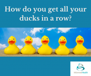 Title: The Year of the Best Down: Understanding the Evolution of Duck Down Quality