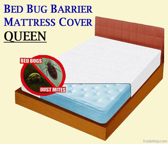 Title: The Impact of Duck Feather Blankets on Bed Bugs