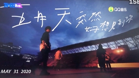 Title: The Unique Journey of平湖市充鸭绒被