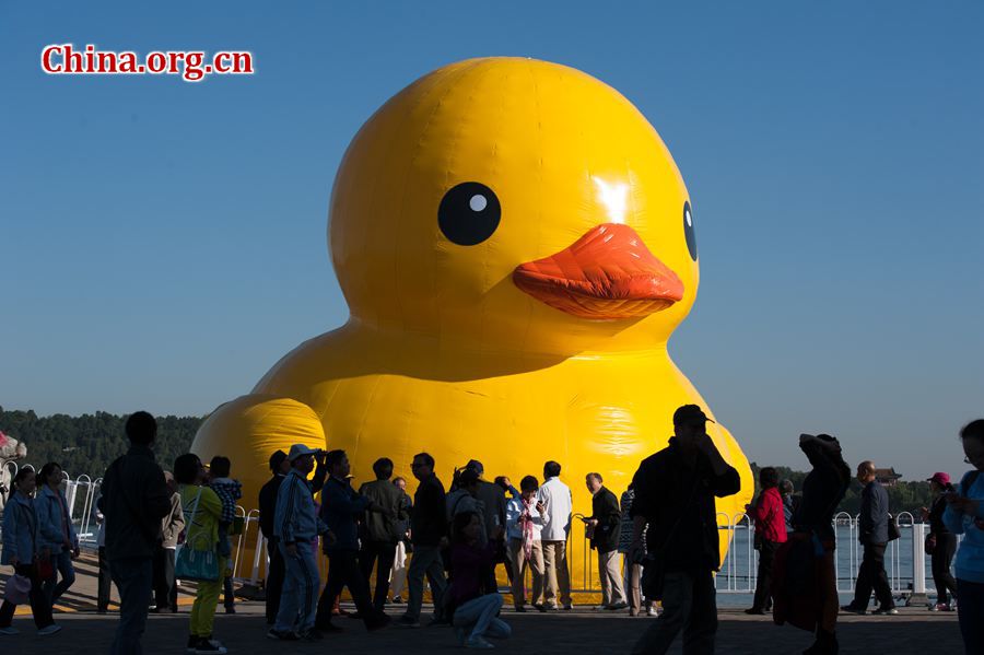 Title: The duck feather blanket of Hubei Jingshi