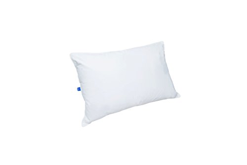 Title: IKEA Duck Feather Pillow Live Broadcast