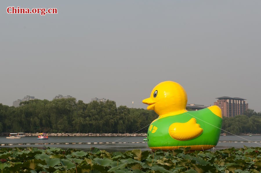 Title: The Journey of Yangzhou Duck Feather Blankets