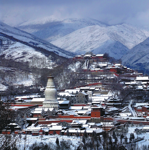 Title: The Unique Beauty of Pingdingshan Down Comforters