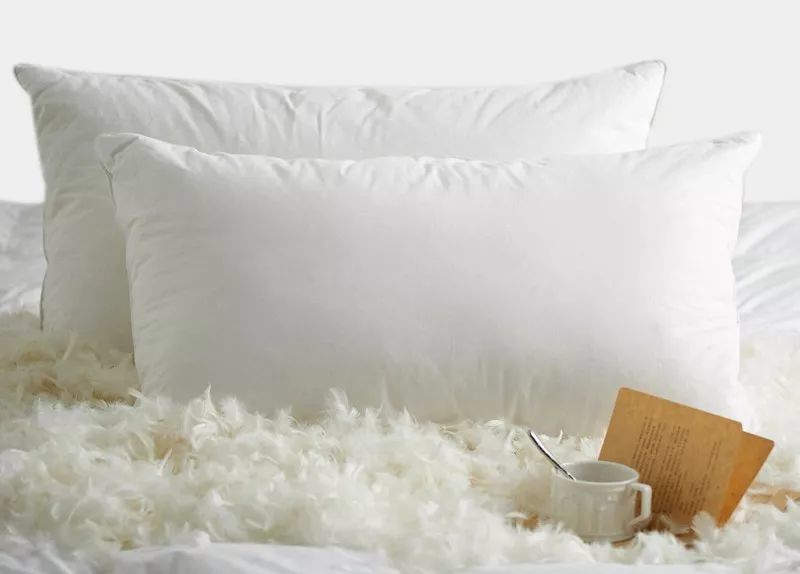 Title: IKEA Duck Feather Pillow: A Review