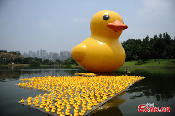 Title: Chongqing Renewed Duck Feather Comforters Manufacturer