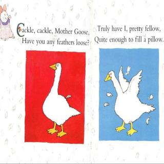 Title: Is Goose and Duck Feather Blanket a Good Choice?