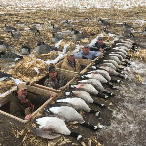 Title: The Unique Warmth of Sheep, Goose, and Duck Feathers in a Duvet