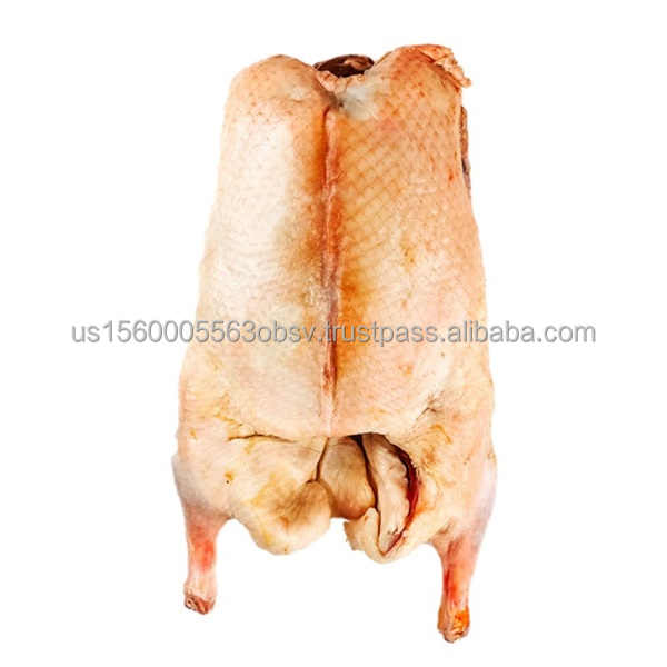 Title: Wholesale Duck Feather Blankets in Zhengzhou