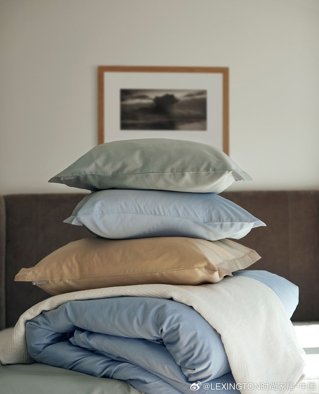 Title: Guizhou Qiandongnan Duck Feather Comforters: Unique and Luxurious Beddings